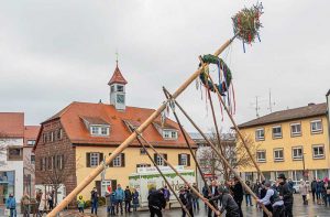 Narrenbaumstellen-2025-Termin-mit-dem-FFC-Gerlingen