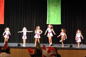 Narrensamen Bühnenauftritt