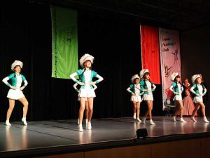 Prinzengarde Froher Faschingsclub Gerlingen e. V.