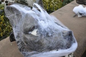 Gerlinger Maskentaufe 2025 Vereinsbericht