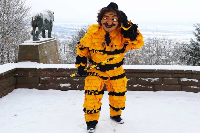 Meter-Michl-Maske-vom-FFC-Gerlingen