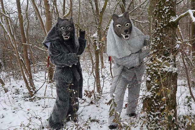 Wolfsmasken-FFC-Gerlingen