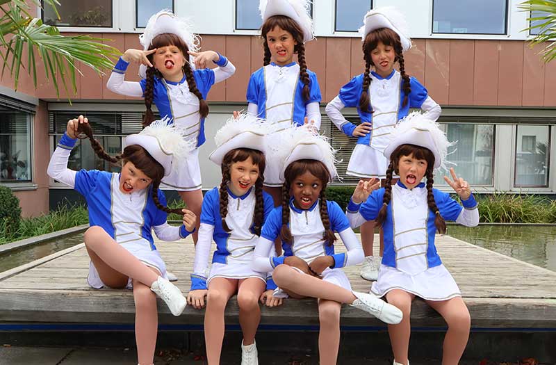 Die Blaue Garde Froher Faschingsclub Gerlingen e. V.